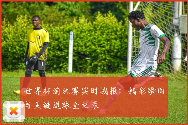 世界杯淘汰赛实时战报：精彩瞬间与关键进球全记录