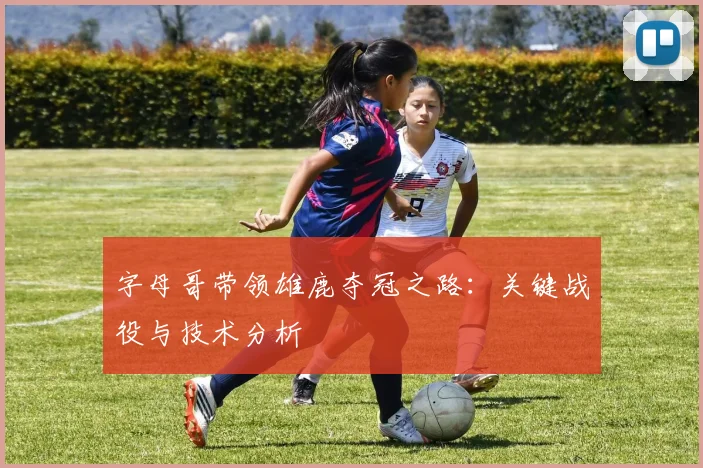 字母哥带领雄鹿夺冠之路：关键战役与技术分析